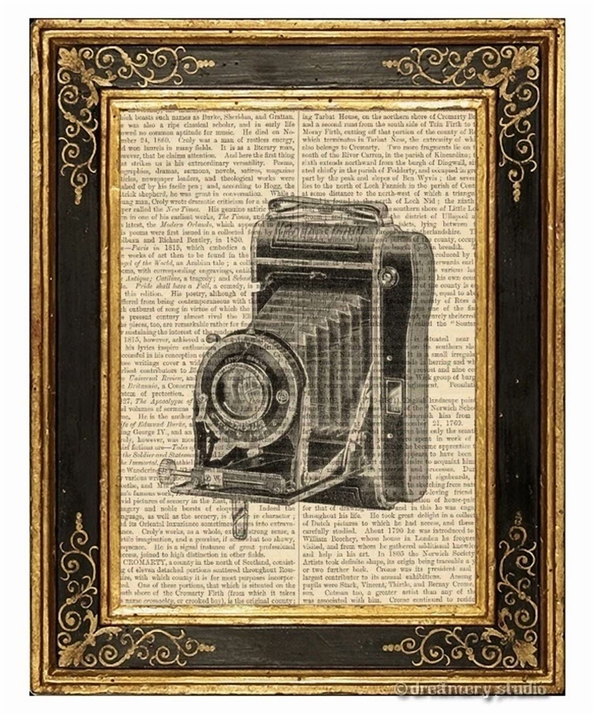 BUTTERFLY- Vest Pocket Folding Camera #1 Art Print On Vintage Book Page Home Office Decor
