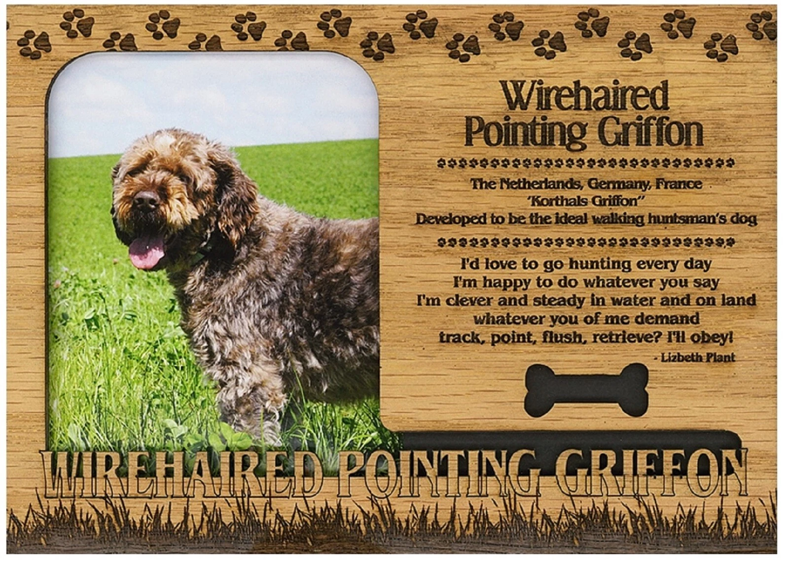 BUTTERFLY- Wirehiared Pointing Griffon Engraved Wood Picture Frame Magnet