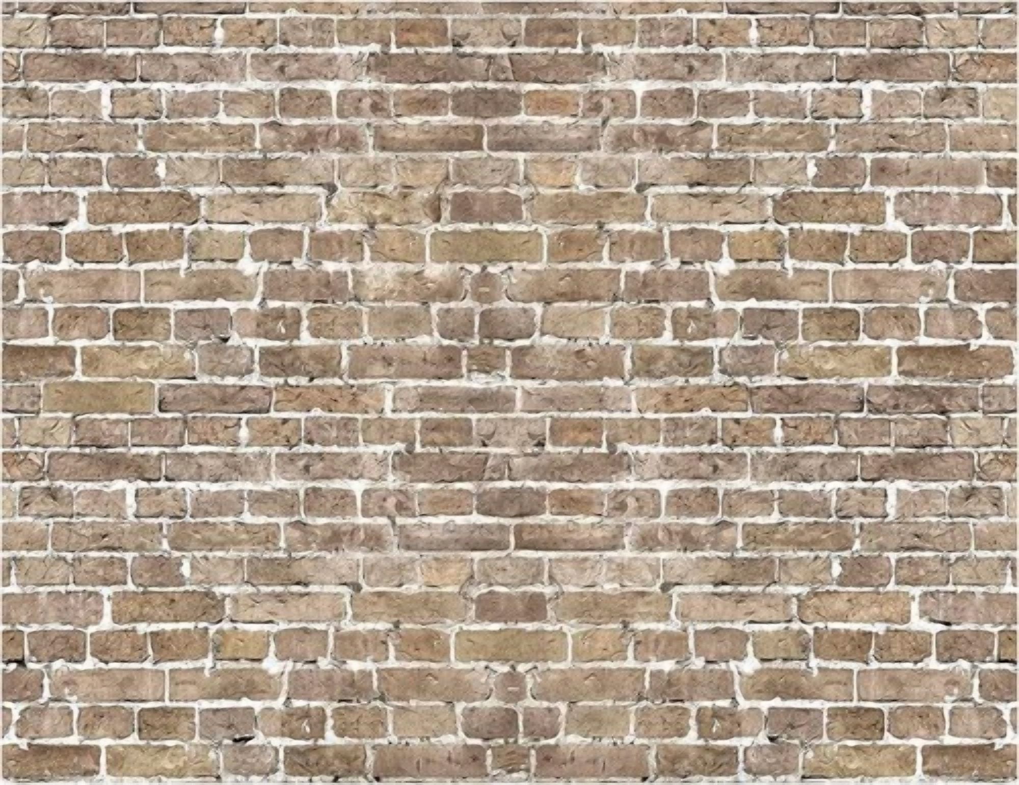 BUTTERFLY- Yynxsy 7X5Ft Brick Wall Background Primary Color 7X5Ft, Khaki