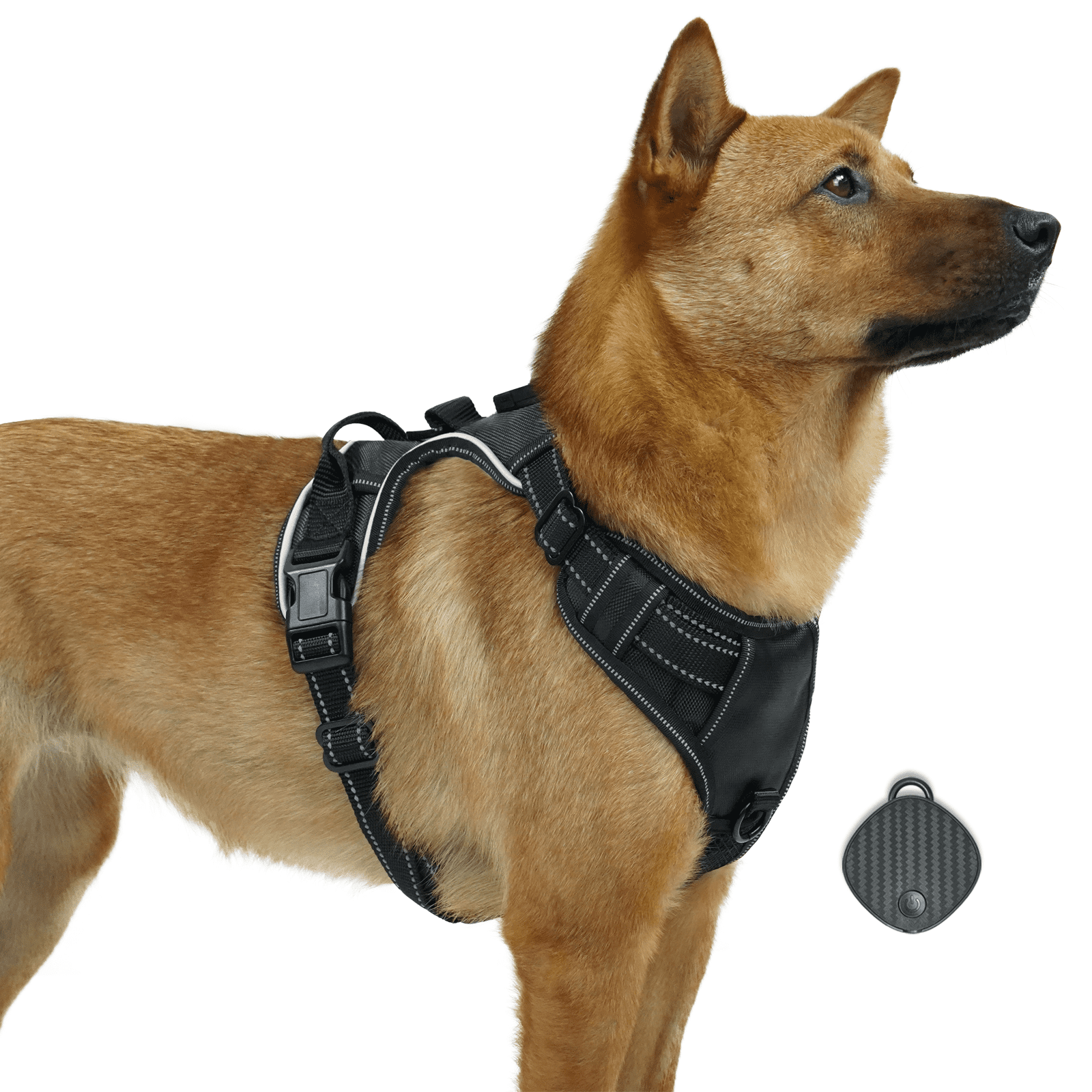 Gps dog harness discount