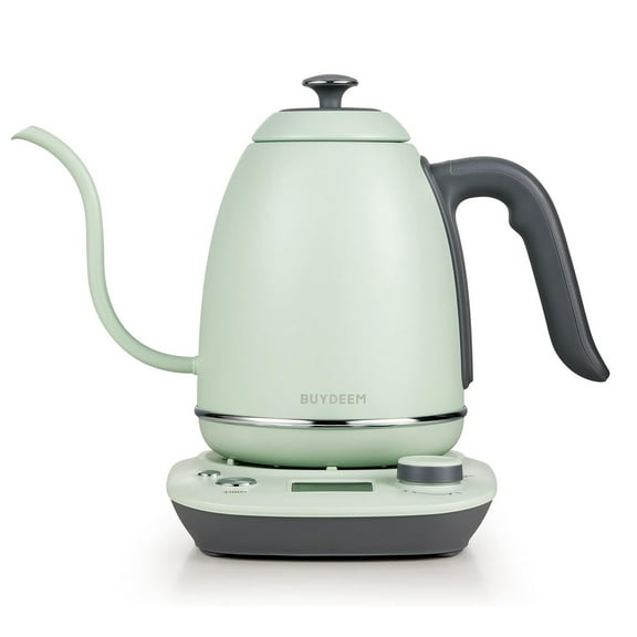 BUYDEEM Gooseneck Electric Pour-Over Kettle, Stainless Steel Coffee Tea Kettle with Variable Temperature Control, Mint Green