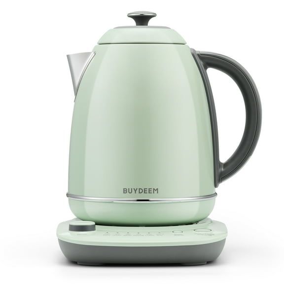 BUYDEEM K740 Electric Kettle with Temperature Control, 12H Keep Warm, Quick Boil, Stainless Steel Hot Water Boiler for Tea Coffee Milk, 1.7L, Cozy Greenish
