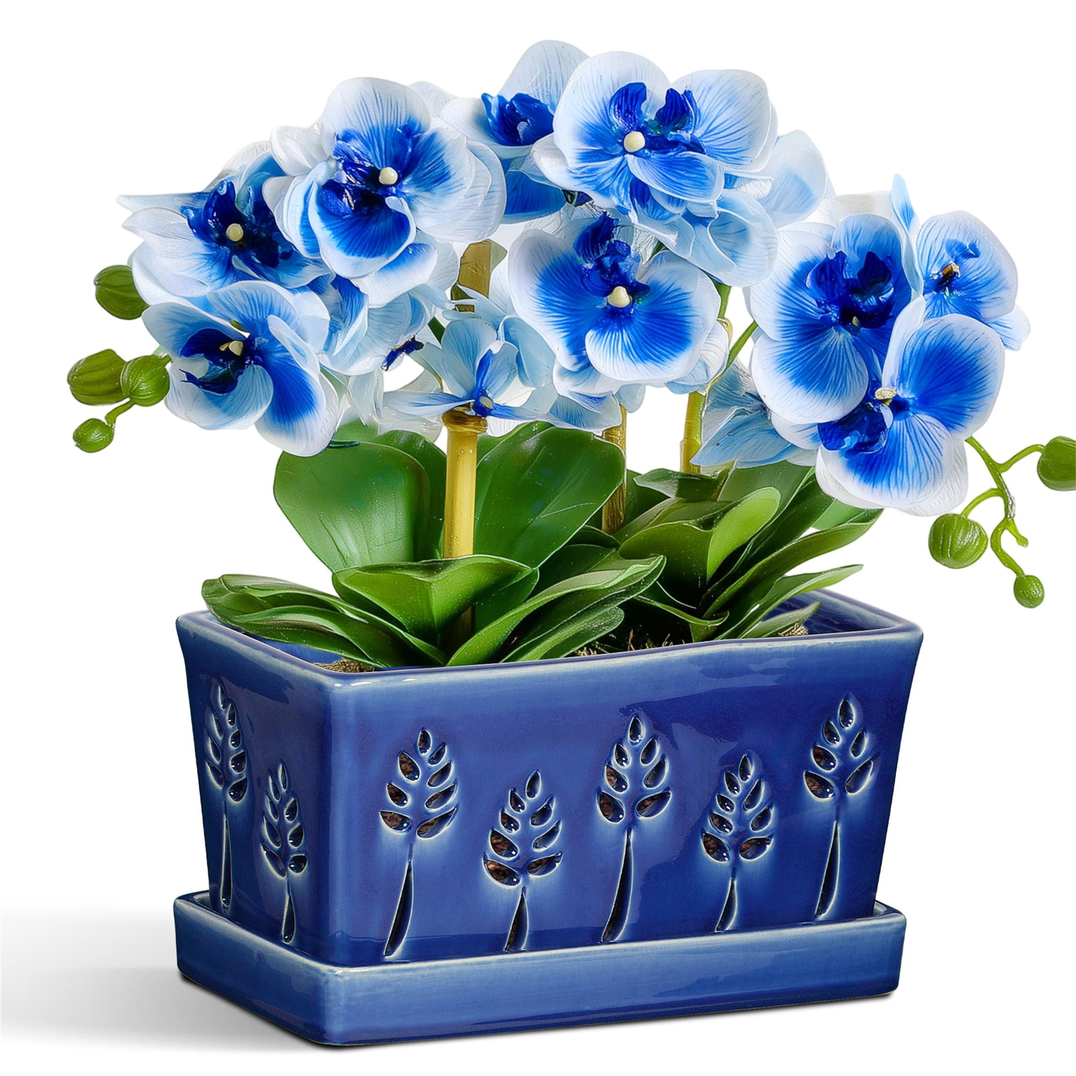 Ceramic orchid pot with holes,10×5 inch, premium thickened Handmade blue Glazed Pot with drainage and tray, accommodates 2 orchids,easy repotting