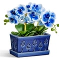 thumbnail image 1 of Ceramic Orchid Pot, 10 Inch Orchid Pots with Holes, Premium Thickened Handmade Glazed Pot for Orchidaceae Plants, Indoor Outdoor Decorative Flower Pots for Easy Repotting, 1 of 7
