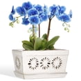 thumbnail image 1 of Ceramic orchid pot, 10 Inch orchid pots with holes, premium thickened handmade glazed pot for orchidaceae plants, indoor outdoor decorative flower pots for easy repotting, 1 of 6