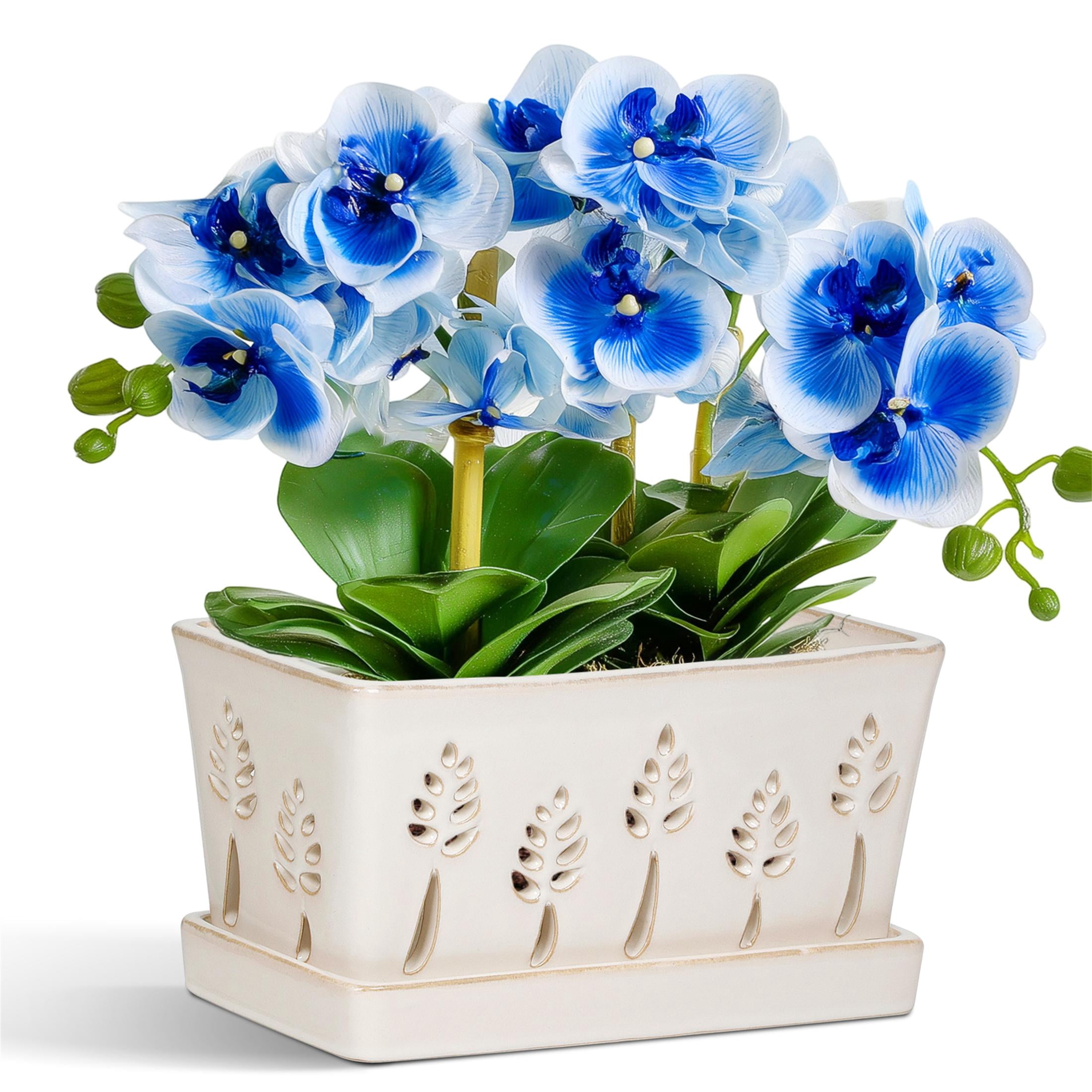 Ceramic orchid pot with holes,10×5 inch, premium thickened Handmade Glazed Pot with drainage and tray, accommodates 2 orchids, for easy repotting