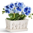 thumbnail image 1 of Ceramic orchid pot, 10 Inch rectangle orchid pots with holes & saucer , premium thickened Handmade Glazed Pot  for Easy Repotting, 1 of 7