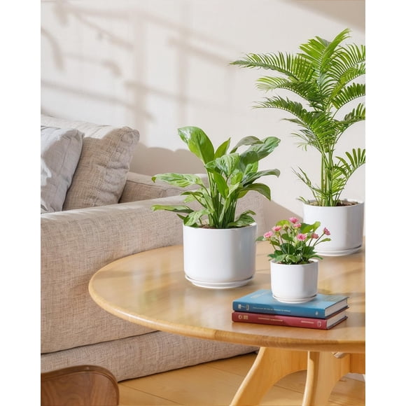 BUYMAX  4+5+6 inch Set of 3 Ceramic Plant Pots, White, Nature Flower Pots with Drainage Hole and Tray Indoor Planter Pots