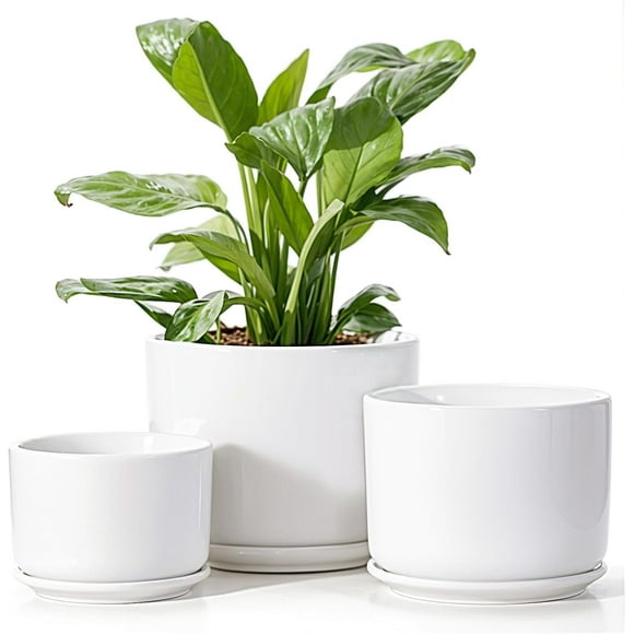 BUYMAX 4+5+6 Inch Set of 3 Ceramic Plant Pots, White, Nature Flower Pots with Drainage Hole and Tray Indoor Planter Pots