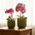 thumbnail image 1 of BUYMAX 5" & 6" Ceramic Orchid Pots with Holes and Trays, Green plant pot,2 Count, 1 of 5