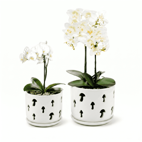BUYMAX 5" & 6" Ceramic Orchid Pots with Holes and Trays, Mushroom Alabaster White, Set of 2
