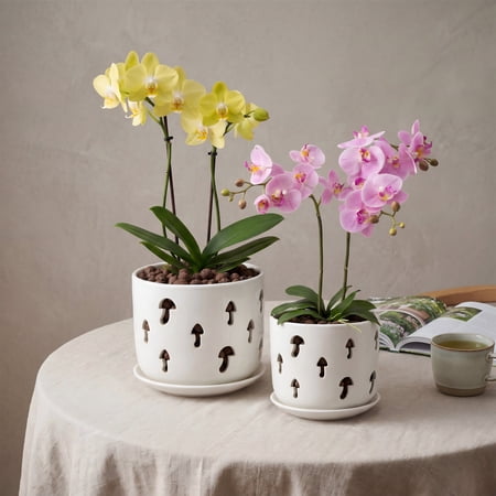 (2 pcak)BUYMAX 5+6 inch white ceramic orchid pot with holes, Decorative mushroom flower pots with Saucers