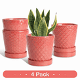 thumbnail image 1 of BUYMAX 5 inch Magenta red Ceramic Plant Pots with Drainage Holes & Saucers, 4-Pack for Herbs, Cactus, Succulents, Home Office Decor, 1 of 7