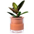 thumbnail image 1 of BUYMAX 6 in. Self-Watering Terracotta Plant Pot with Glass Reservoir, Indoor Flower Planter for Succulents, Home Office Decor, Set of 1, 1 of 6