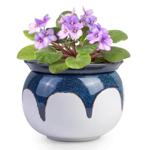 BUYMAX 6 in. Ceramics Self-Watering Planter,African Violet Pot for Beginners & Busy Plant Owners,Gradient Blue