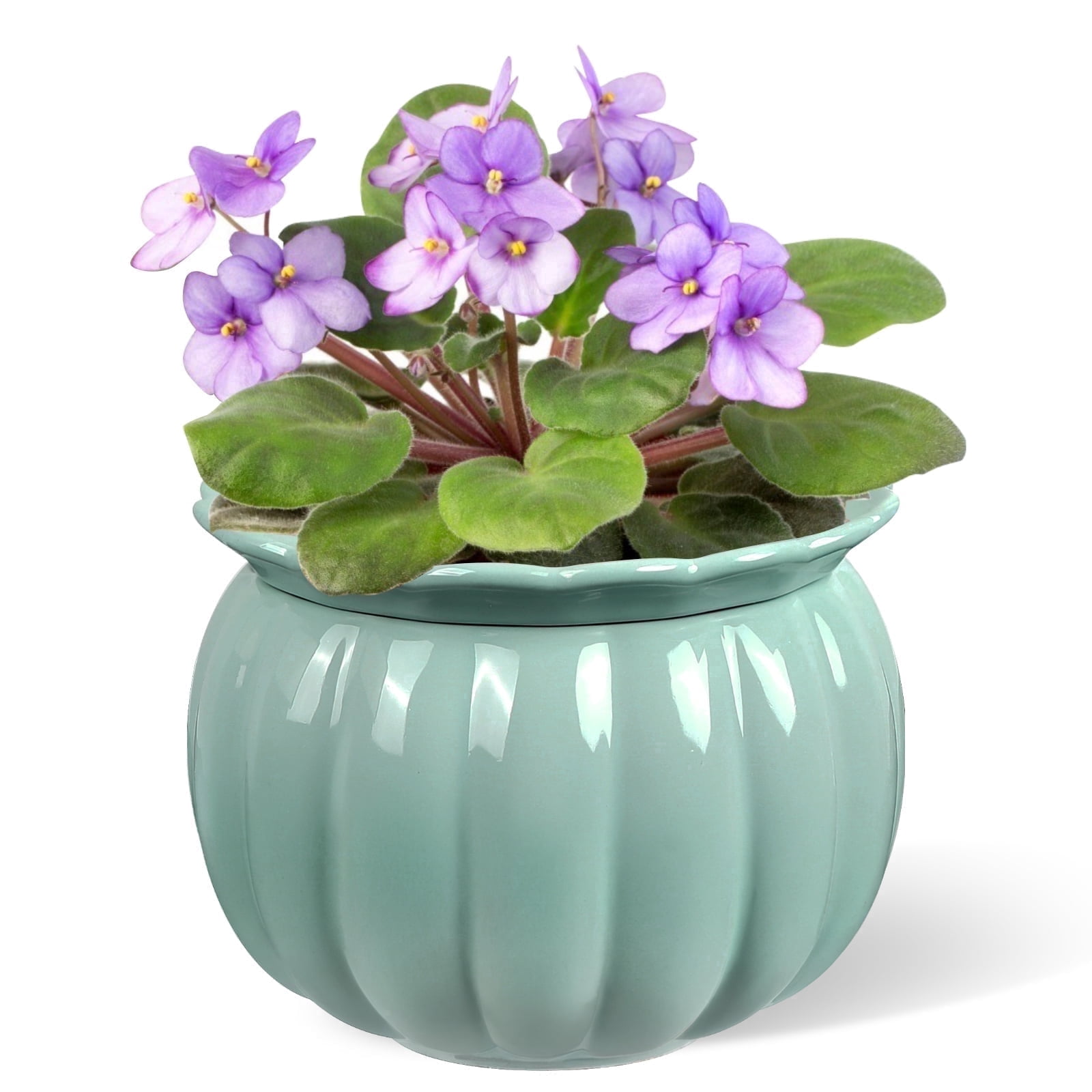 BUYMAX 6 in. Ceramics Self-Watering Planter,African Violet Pot for Beginners & Busy Plant Owners,Pumpkin Blue
