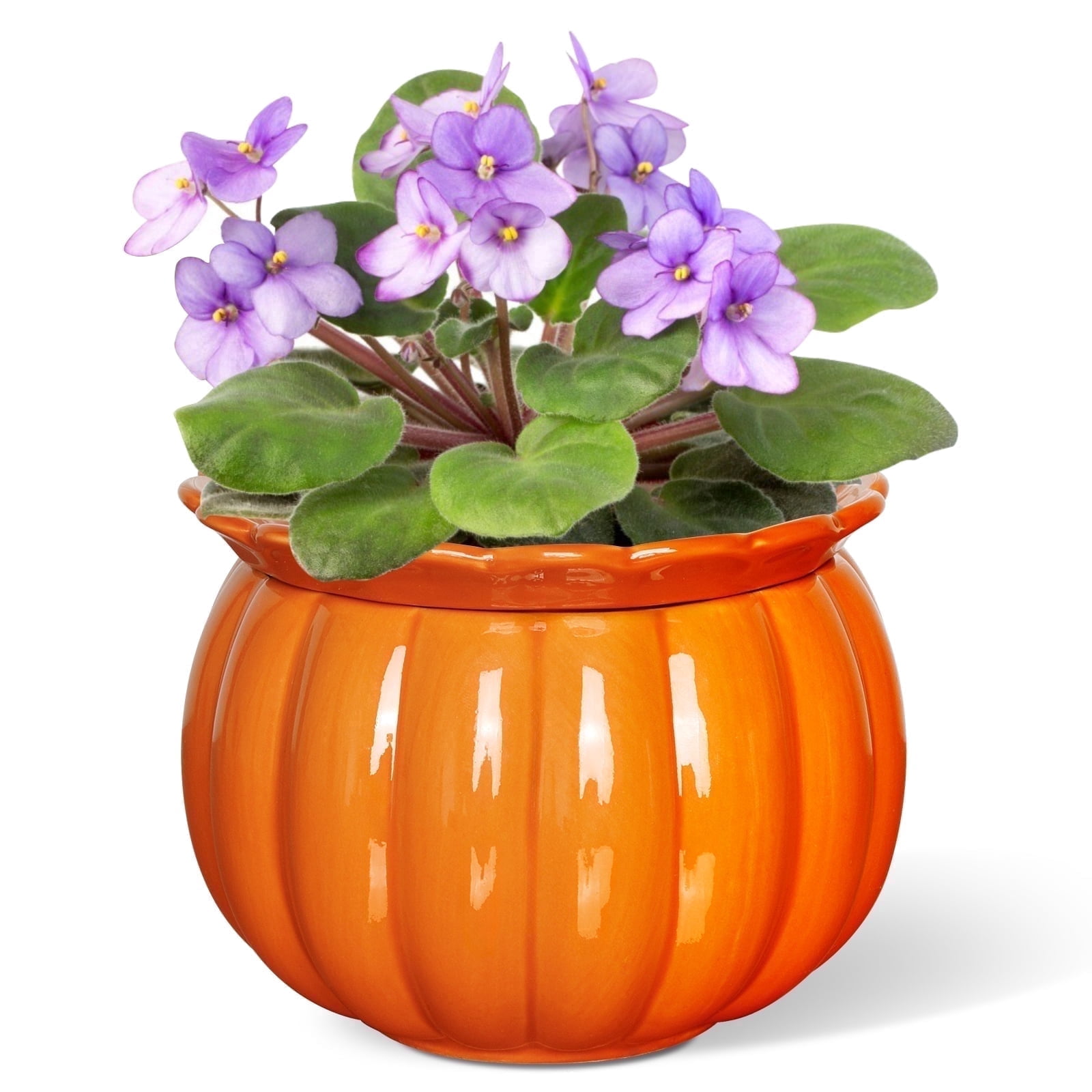BUYMAX 6 in. Ceramics Self-Watering Planter,African Violet Pot for Beginners & Busy Plant Owners,Pumpkin Orange