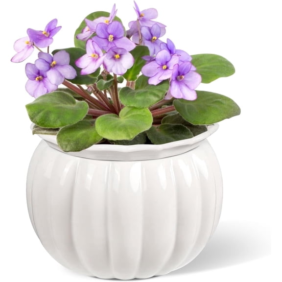 BUYMAX 6 inch White Pumpkin Ceramic Self-Watering Planter, Decorative Modern Flower Pot with Reservoir for African Violets and Succulents, 1 Count