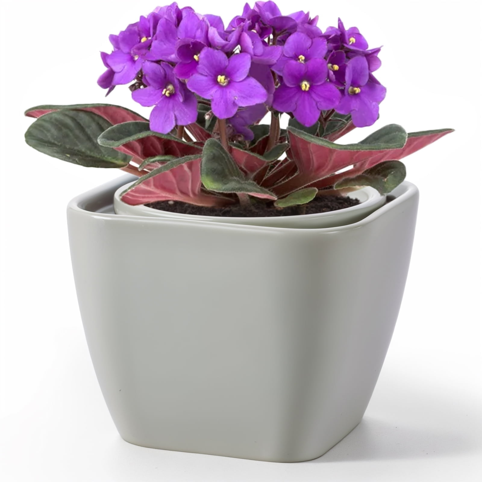 BUYMAX 6 inch Modern Square Gray Ceramic Self-Watering African Violet Pot, 1 Count