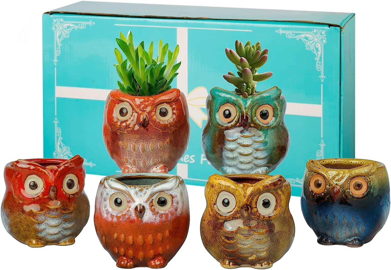 BUYMAX Animal Succulent Plant Pots, Mini Owl Shape Succulent Planter ...