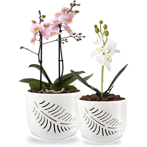 BUYMAX 5+6 inch White Ceramic Orchid Pot with Holes, Indoor/Outdoor Plant Pot with Drainage Holes and Tray, Promotes Air Circulation and Drainage