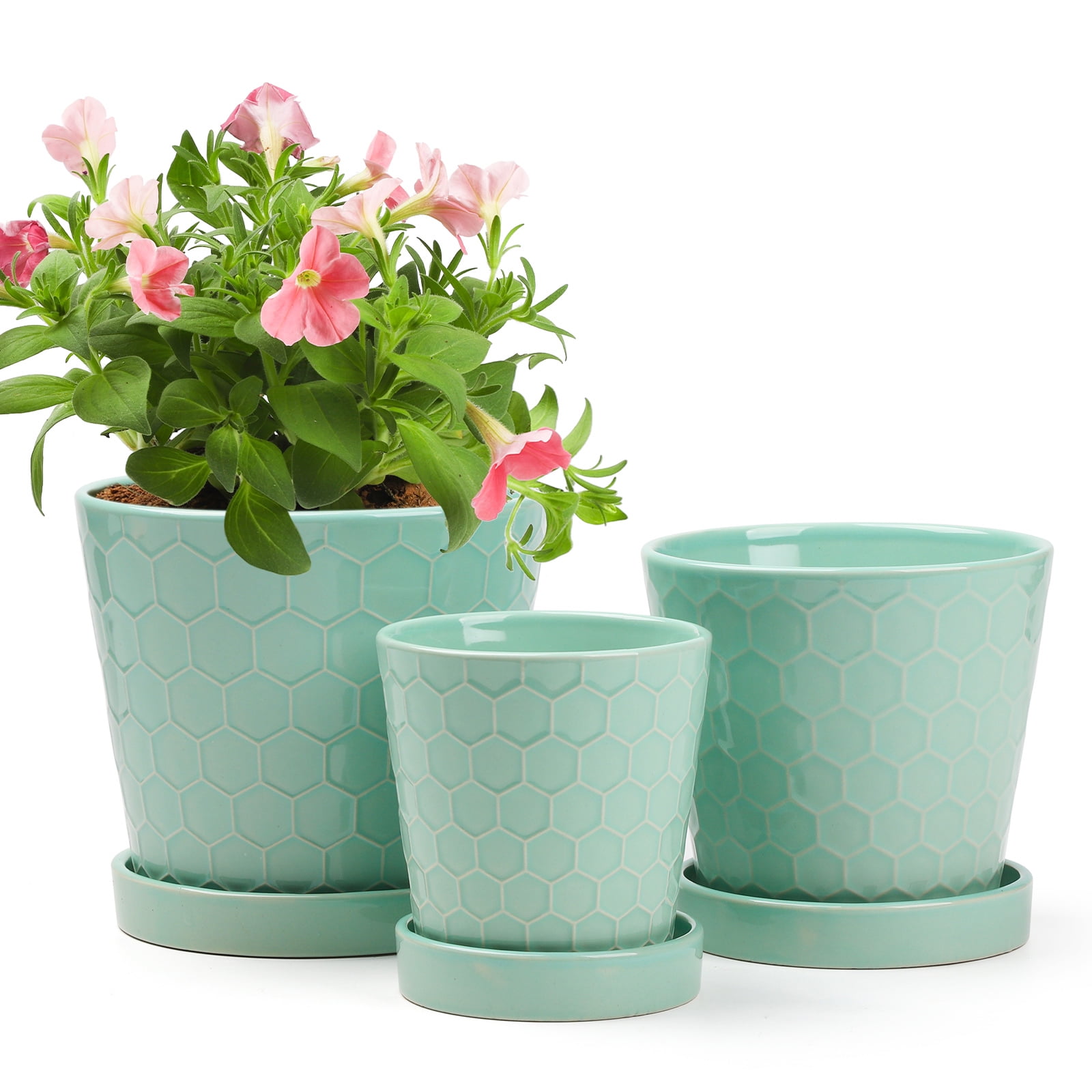 BUYMAX Plant Pots Indoor –5 inch Ceramic Flower Pot with Drainage Hole -  NbuFlowers