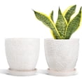 thumbnail image 1 of BUYMAX ceramic plant pots, 6 inch plant pots with drainage hole and saucer, indoor/outdoor flower pots, set of 2, leaf embossed - white glaze, 1 of 7