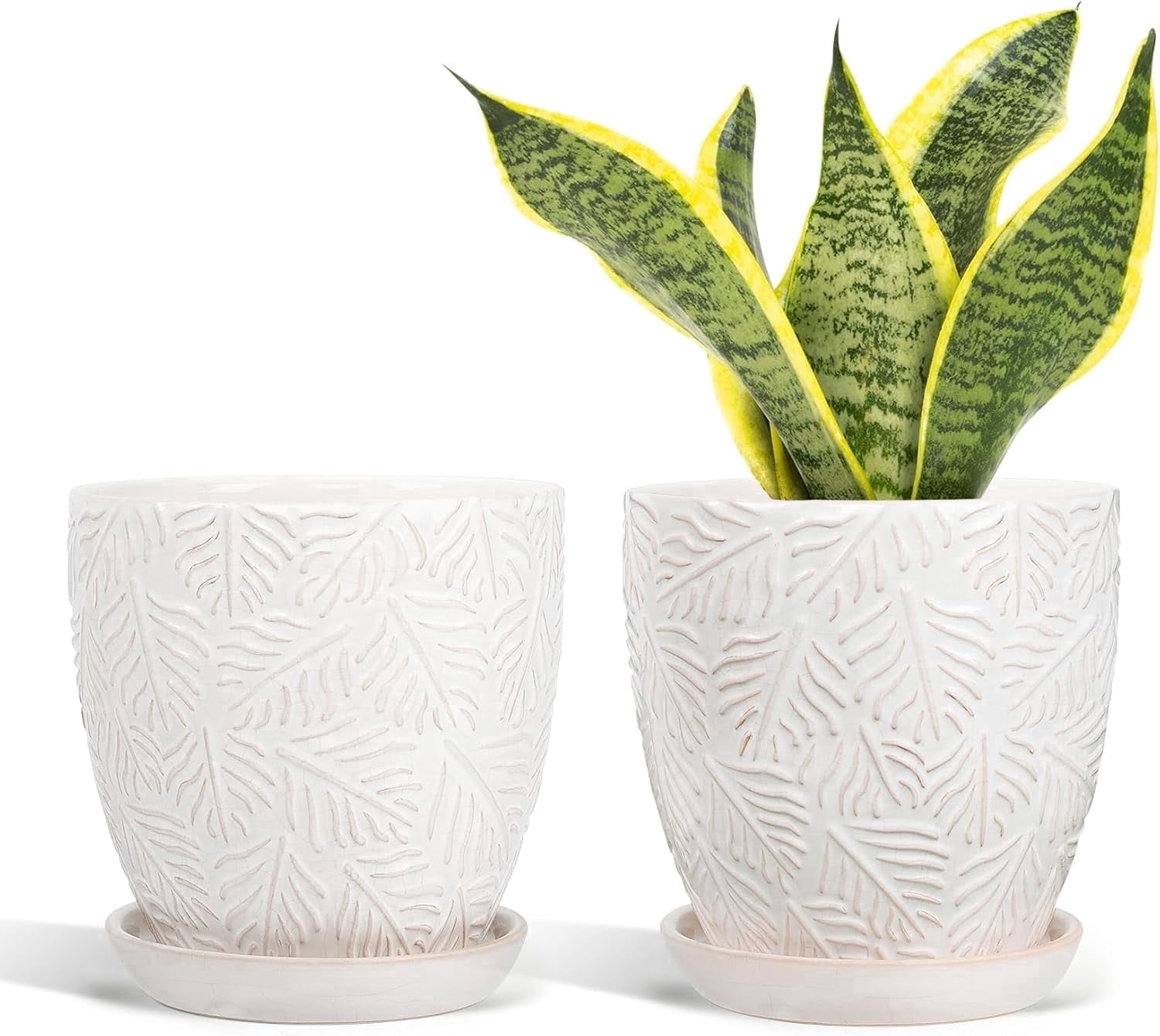 BUYMAX ceramic plant pots, 6 inch plant pots with drainage hole and saucer, indoor/outdoor flower pots, set of 2, leaf embossed - white glaze