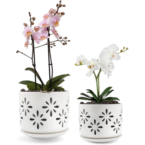 BUYMAX Small Orchid Pots with Holes 5 inch & 6 inch, Ceramic Orchid Pots for Repotting, 2 Pack Breathable Slotted Orchids Planter, White Flower