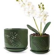 BUYMAX 5" & 6" Ceramic Orchid Pots with Holes and Trays, Island Palm Verdigris Patina, Set of 2