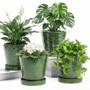 BUYMAX 5 Ceramic plant pots with drainage hole and tray, 4-Pack-4-patterns, gardening home desktop office windowsill decoration  patina flower pots indoor