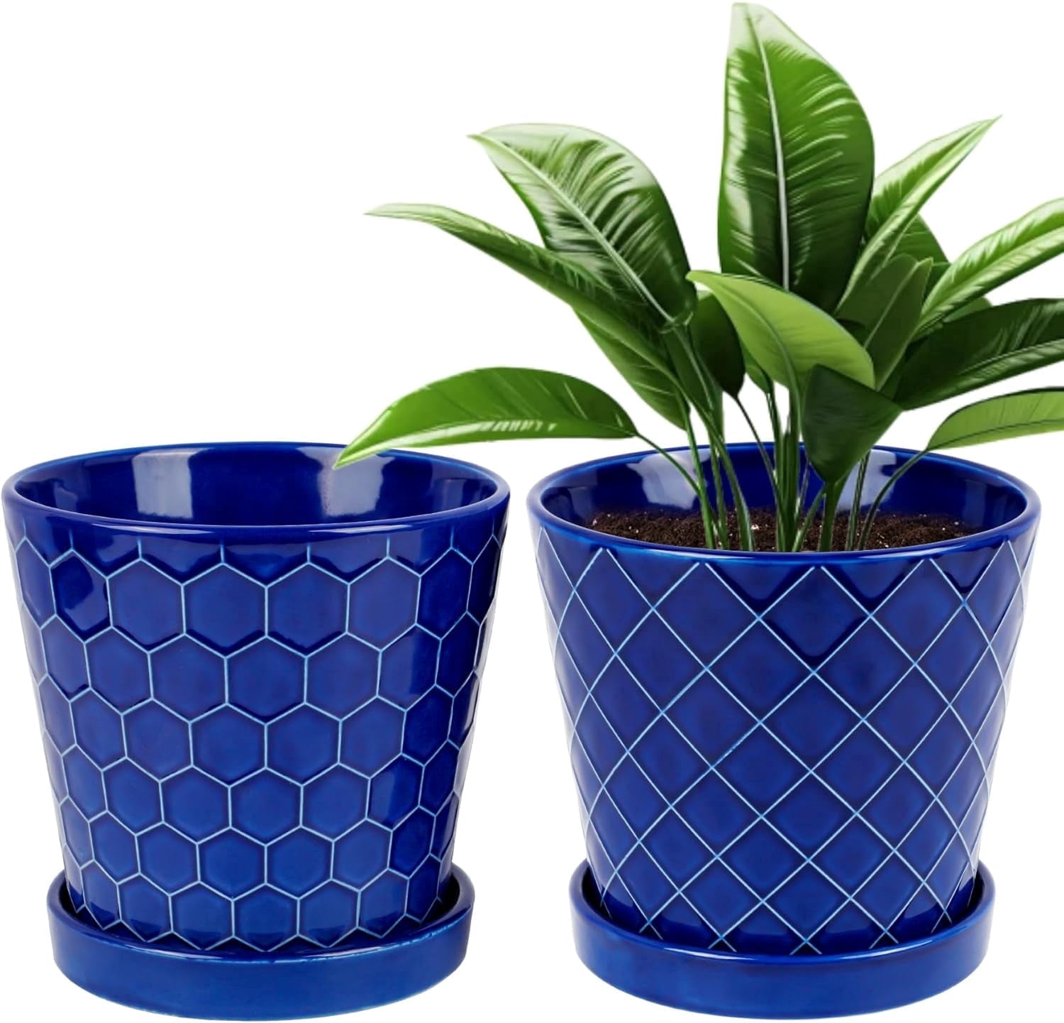 BUYMAX Plant Pots Indoor –6 inch Ceramic Flower Pot with Drainage Hole and Ceramic Tray - Gardening Home Desktop Office Windowsill Decoration, Set of 2(Blue)