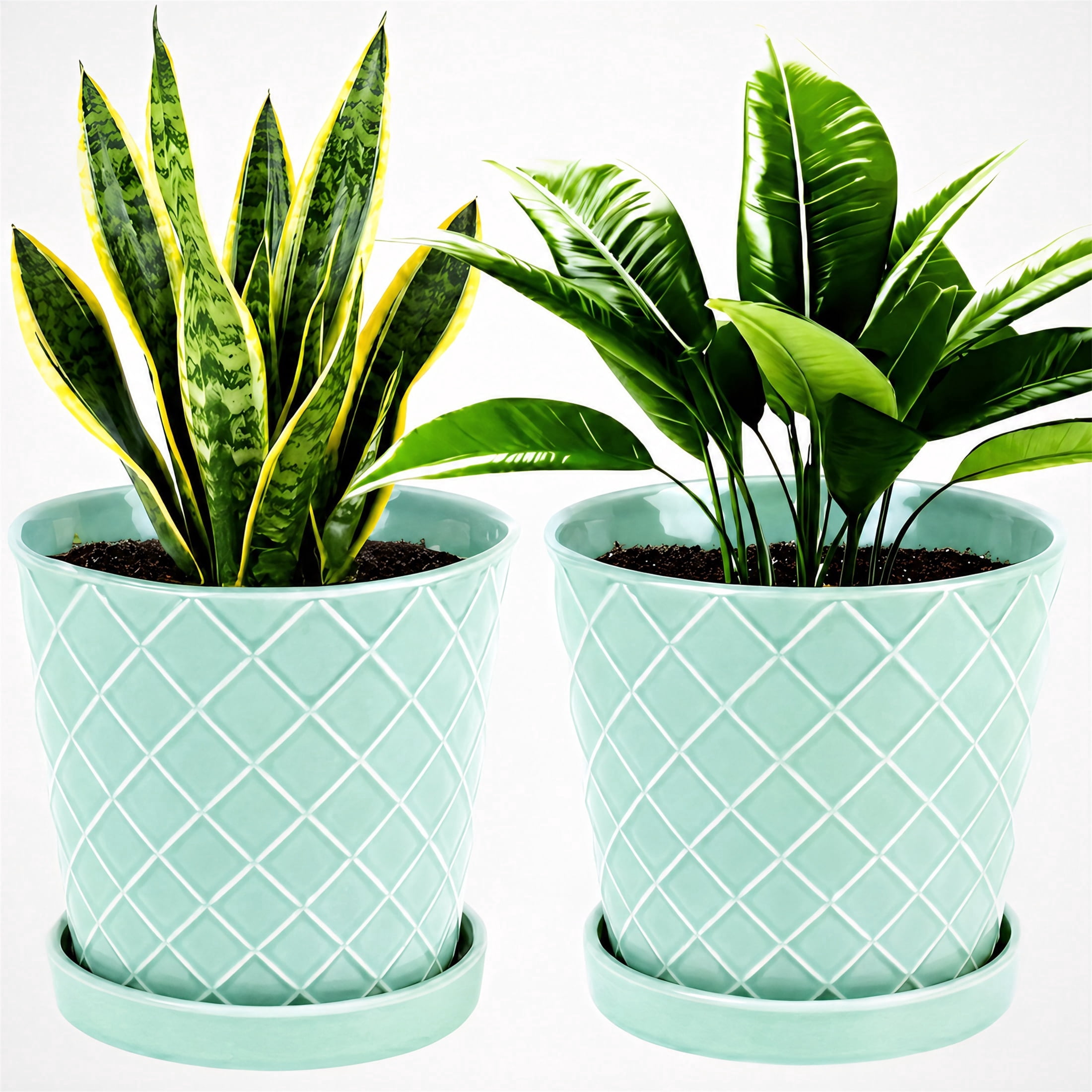 BUYMAX Plant Pots Indoor –6 inch Ceramic Flower Pot with Drainage Hole and Ceramic Tray - Gardening Home Desktop Office Windowsill Decoration, Set of 2(Green)Same pattern