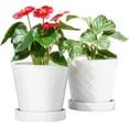 thumbnail image 1 of BUYMAX Plant Pots Indoor –6 inch Ceramic Flower Pot with Drainage Hole and Ceramic Tray - Gardening Home Desktop Office Windowsill Decoration, Set of 2(White), 1 of 7