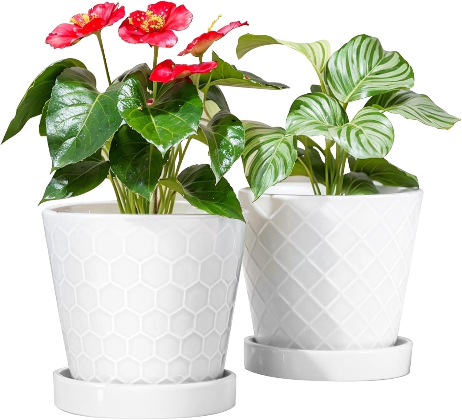 BUYMAX Plant Pots Indoor –6 inch Ceramic Flower Pot with Drainage Hole ...