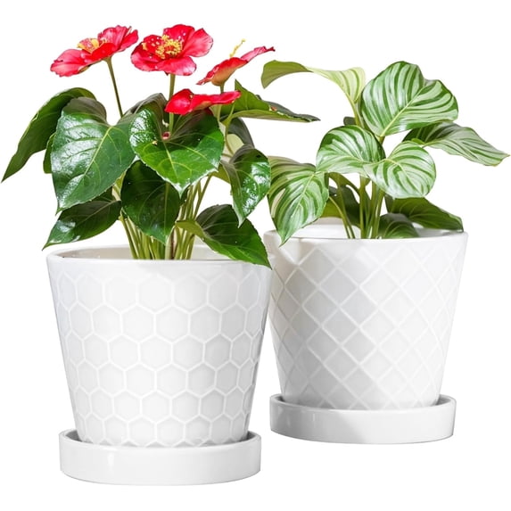 BUYMAX Plant Pots Indoor –6 inch Ceramic Flower Pot with Drainage Hole and Ceramic Tray - Gardening Home Desktop Office Windowsill Decoration, Set of 2(White)