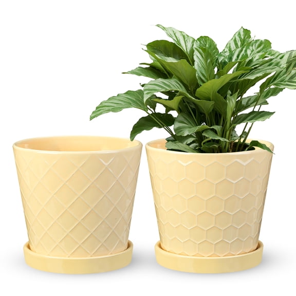 BUYMAX Plant Pots Indoor –6 inch Ceramic Flower Pot with Drainage Hole and Ceramic Tray - Gardening Home Desktop Office Windowsill Decoration, Set of 2(YELLOW)