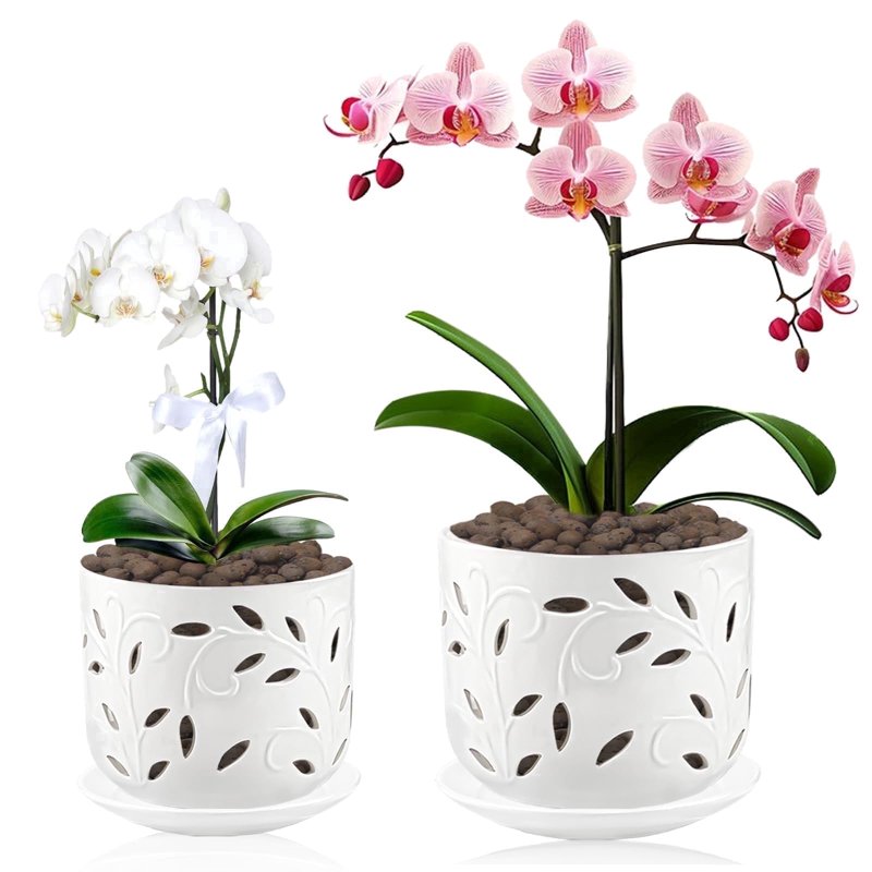 BUYMAX 5" & 6" Ceramic Orchid Pots with Holes and Trays, Leaf Lattice Alabaster White, Set of 2