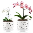 thumbnail image 1 of BUYMAX 6+5 inch  Orchid Pot with Holes, Ceramic Plant Pots with Drainage Holes and Tray,Decorative Indoor Outdoor White Flower pots with Saucers, 1 of 11