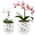 thumbnail image 1 of BUYMAX 6+5 inch  Orchid Pot with Holes, Ceramic Plant Pots with Drainage Holes and Tray,Decorative Indoor Outdoor White Flower pots with Saucers, 1 of 8