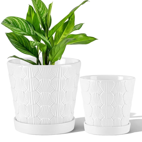 BUYMAX Set of 2 Shell-Embossed Ceramic Plant Pots, 6"+5" Indoor Flower Pots with Drainage, White