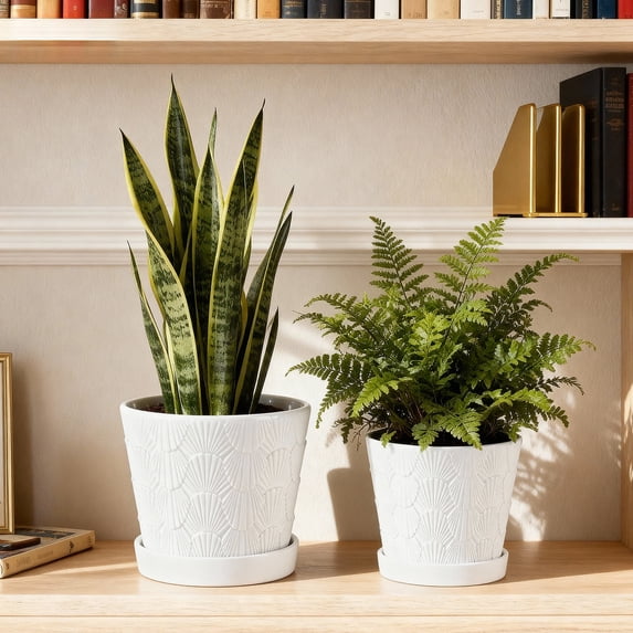 BUYMAX Ceramic plant pots with drainage holes and tray,5+6 inch embossed seashell design flower pots , White ,Set of 2