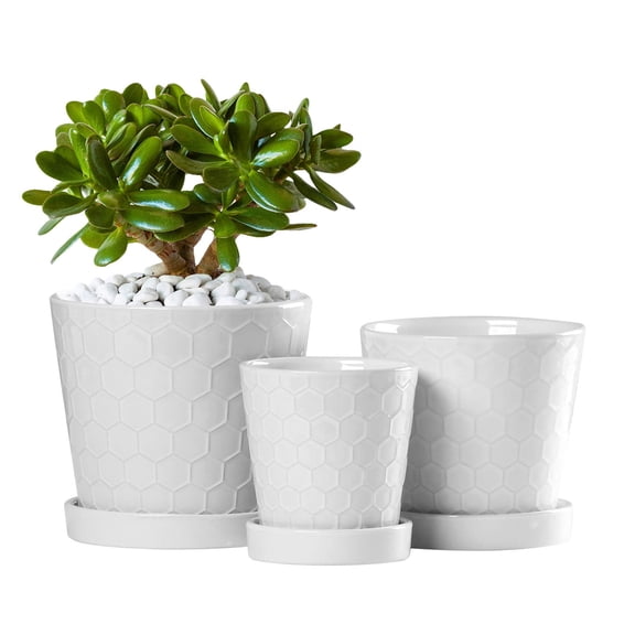 BUYMAX 4",5",6" Dia Planter Set of 3, Modern Style Ceramic Plant Pots with Drainage Hole and Tray for Indoor Outdoor Patio, Cloud Dancer White