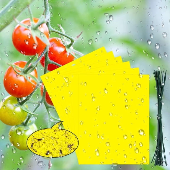 BUZIFU 30 Pack Insect Traps Double-Sided Sticky Traps,Yellow Sticky Papers Dual Sticky Fly Traps for Plant Insect Like Fungus Gnat, Whitefly, Aphid, Leaf Miners, Bugs (19.8x15cm, 30pcs Twist Ties