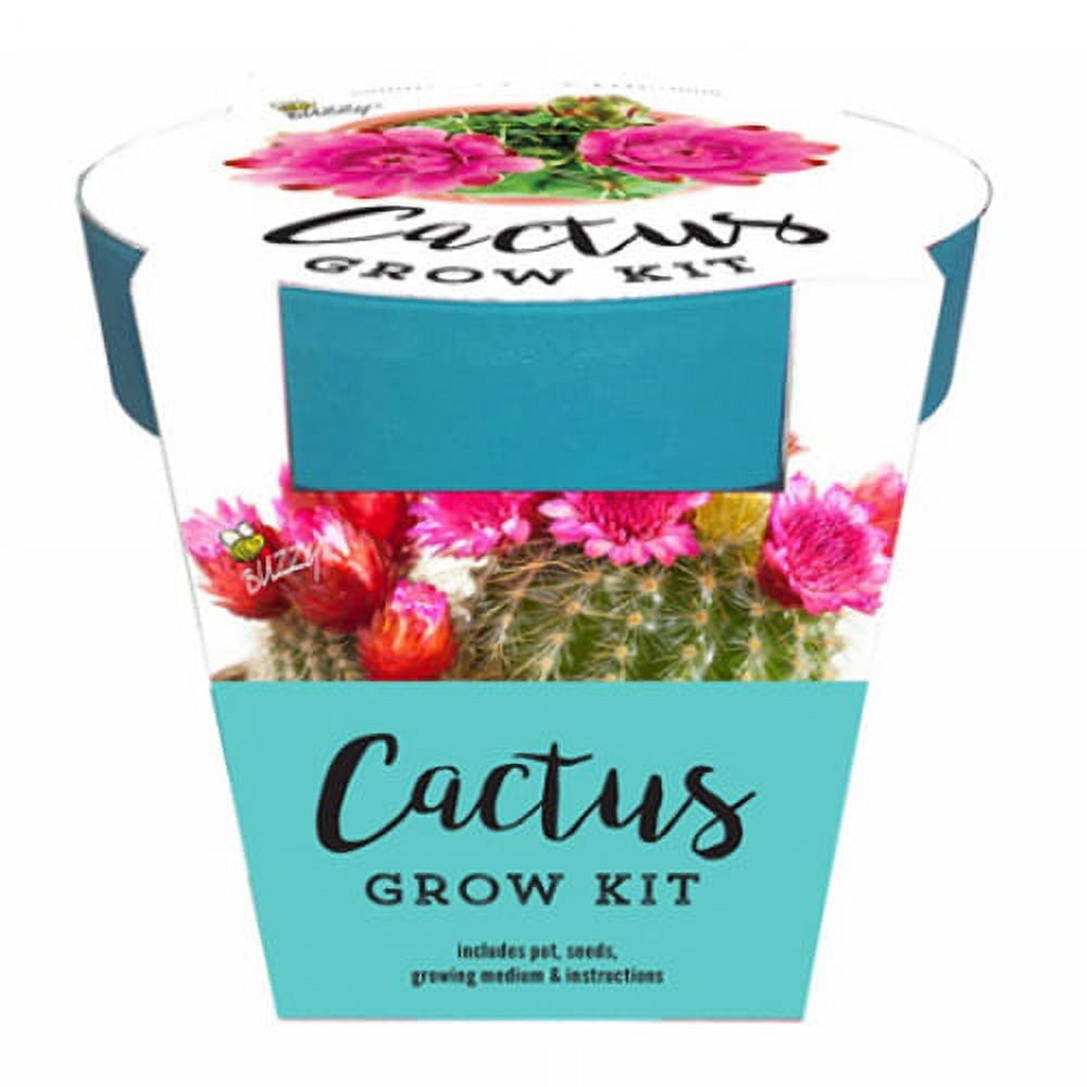 BUZZY INC 95998 TURQ Cactus Grow Kit