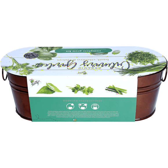 Buzzy Seeds Organic Culinary Windowsill Grow Kit Indoor Seed Starter