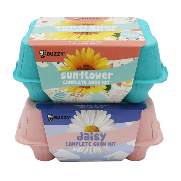 Buzzy Seeds Daisy and Sunflower Egg Carton Kids Plant Growing Kit