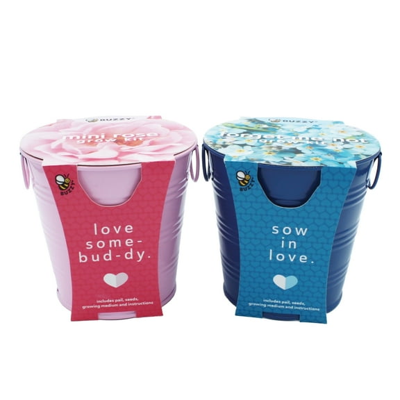 Buzzy Seeds 2pk Mini Rose & Forget-Me-Not Grow Kit, Indoor Flower Garden Kit
