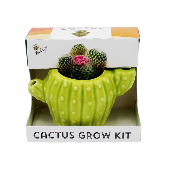 BUZZY Seeds 4pk Mini Cactus Grow Kit with Ceramic Planter, Succulent Seeds, Growing Medium, Easy Instructions, Indoor Gardening Gift for Beginners, Birthdays, Housewarming and Home or Office Décor