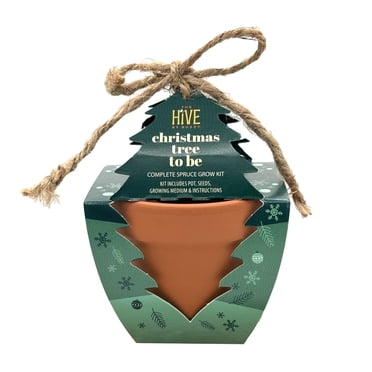 BUZZY Seeds Holiday Spruce Tree Kit 4-Pack Mini Terracotta Pots with Non-GMO Seeds and Growing Medium – Indoor Gardening Gift and Fun Stocking Stuffer for Tree Huggers, Family and Nature Lovers